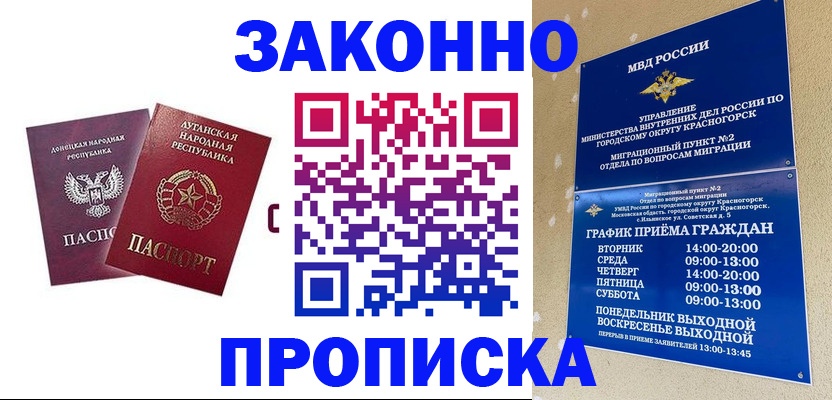 прописка в Петропавловске-Камчатском